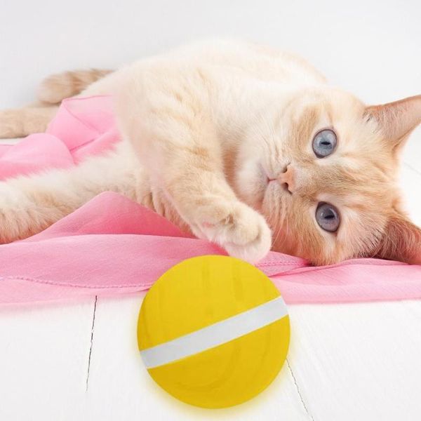 cat toys automatic magic roller ball launcher pet waterproof jumping usb led rolling flash balls fun electric dog kids gift
cat toys automatic magic roller ball launcher pet waterproof jumping usb led rolling flash balls fun electric dog kids gift