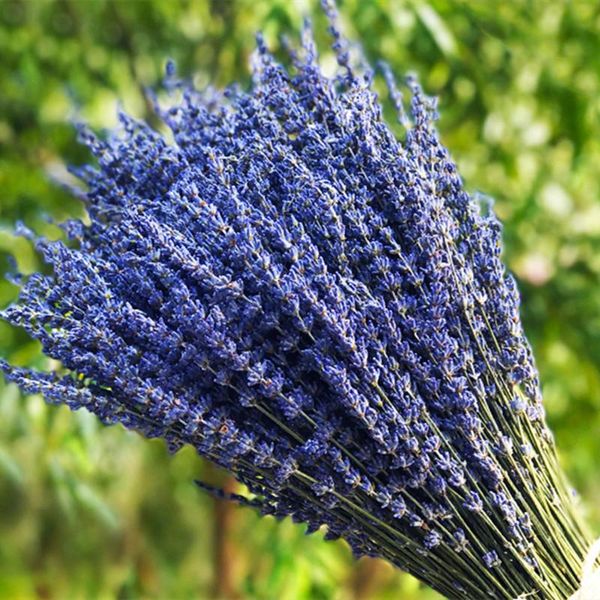 decorative flowers & wreaths 50 pcs/ bundle provence natural lavender flower dried romantic immortal diy garden living room decor wedding
decorative flowers & wreaths 50 pcs/ bundle provence natural lavender flower dried romantic immortal diy garden living room decor wedding