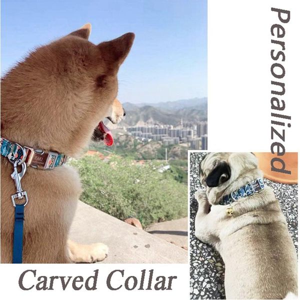 dog collars & leashes personalized id engraving pet collar customized cat label nameplate puppy nylon safety separation pets supplies
dog collars & leashes personalized id engraving pet collar customized cat label nameplate puppy nylon safety separation pets supplies