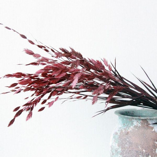 decorative flowers & wreaths nature plants dekoration reed dried flower pampas grass phragmites wedding home christmas decoration diy handic
decorative flowers & wreaths nature plants dekoration reed dried flower pampas grass phragmites wedding home christmas decoration diy handic
