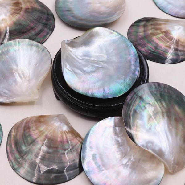 novelty items natural black dish, shell, conch, fish tank, landscape decoration, lacquer inlaid, diy jewelry, jewelry tray, shooting props
novelty items natural black dish, shell, conch, fish tank, landscape decoration, lacquer inlaid, diy jewelry, jewelry tray, shooting props
