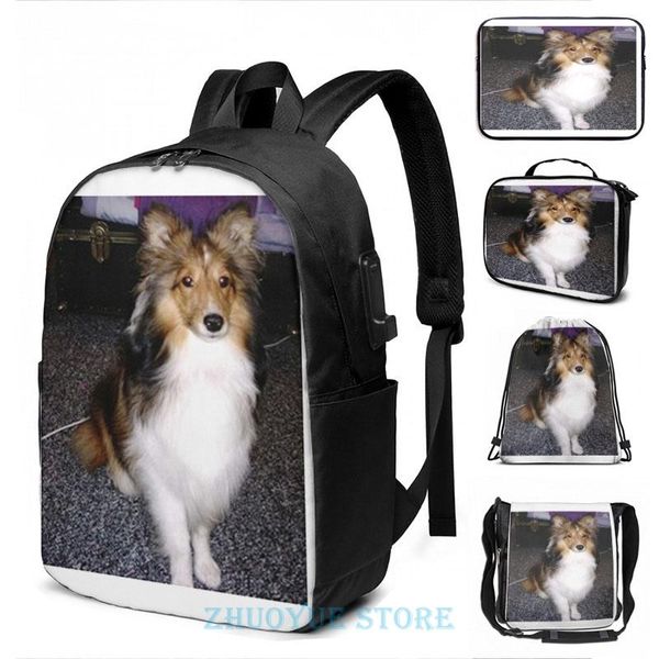 backpack funny graphic print shetland sheepdog sitting second usb charge men school bags women bag travel laptop
backpack funny graphic print shetland sheepdog sitting second usb charge men school bags women bag travel laptop