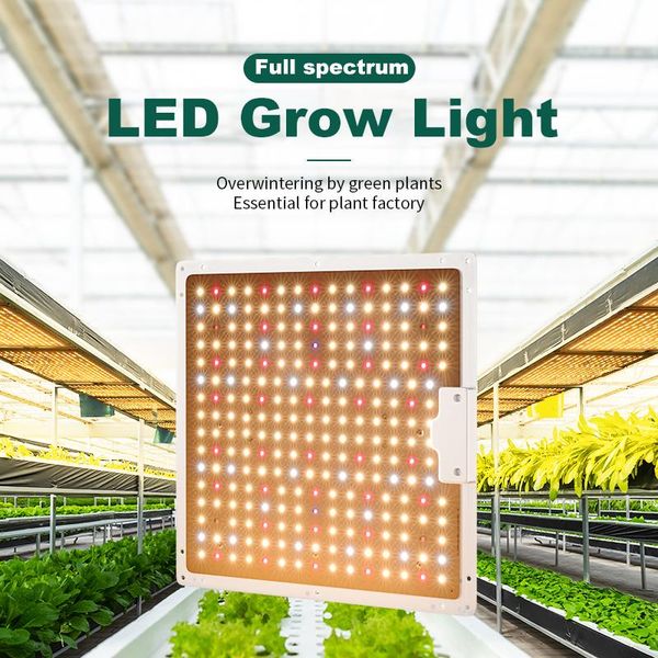 led grow light full spectrum 4000w plant lighting phyto grow lamp quantum board lamp for plants growth lighting for indoor plant
led grow light full spectrum 4000w plant lighting phyto grow lamp quantum board lamp for plants growth lighting for indoor plant