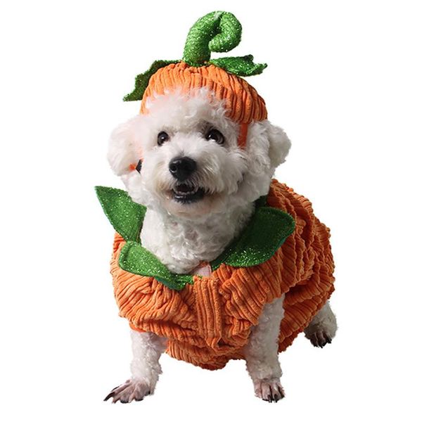 dog apparel pumpkin design creative funny pet clothing halloween costume with hat
dog apparel pumpkin design creative funny pet clothing halloween costume with hat