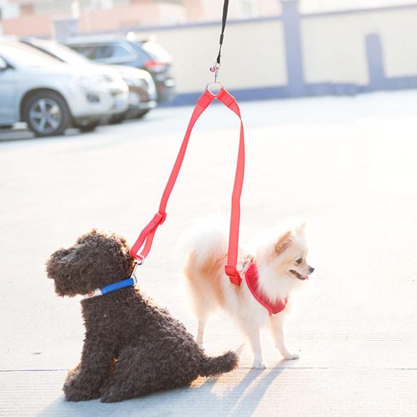 cat collars & leads 2 in 1 dog leash double walking leashes couple way v shape collar lead for two dogs pet accessories supplies
cat collars & leads 2 in 1 dog leash double walking leashes couple way v shape collar lead for two dogs pet accessories supplies