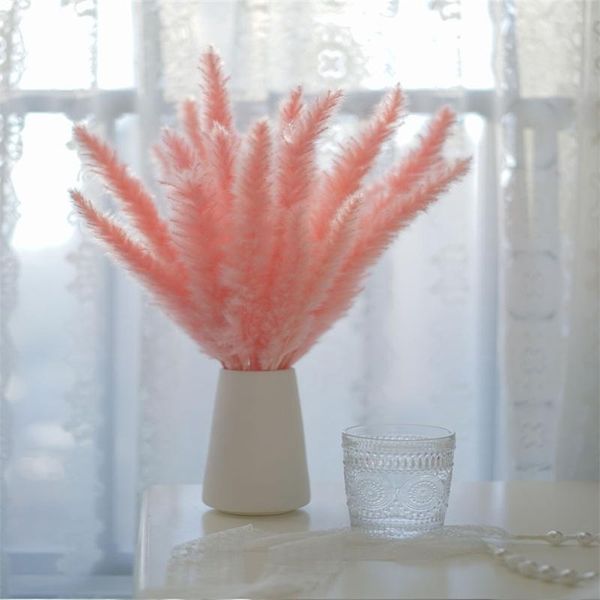 decorative flowers & wreaths dry bulrush reed plant small pampas grass phragmites for wedding decoration home decor diy flower window flores
decorative flowers & wreaths dry bulrush reed plant small pampas grass phragmites for wedding decoration home decor diy flower window flores