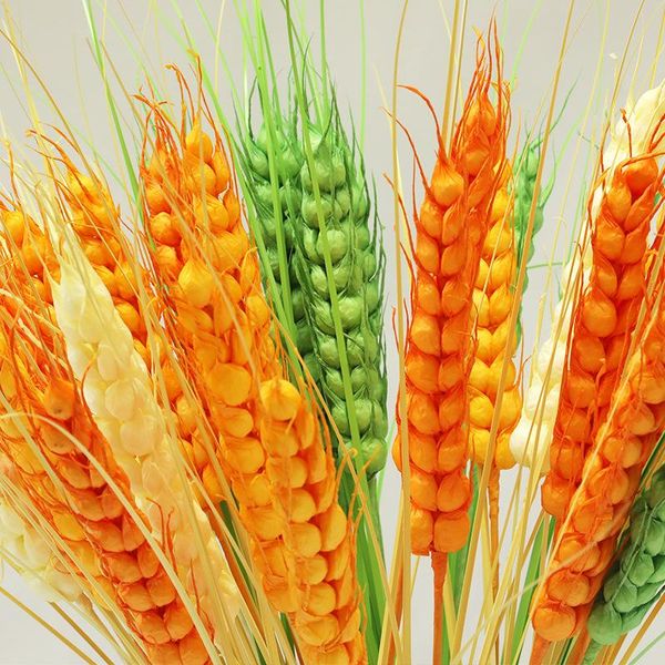 dong zhi mei spring explosion models single head wheat artificial flower large grain wheat graduation celebration decoration art
dong zhi mei spring explosion models single head wheat artificial flower large grain wheat graduation celebration decoration art
