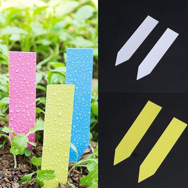 garden decorations 5x1cm plant labels plastic tags nursery markers flower pots seedling tray mark tools home decor
garden decorations 5x1cm plant labels plastic tags nursery markers flower pots seedling tray mark tools home decor
