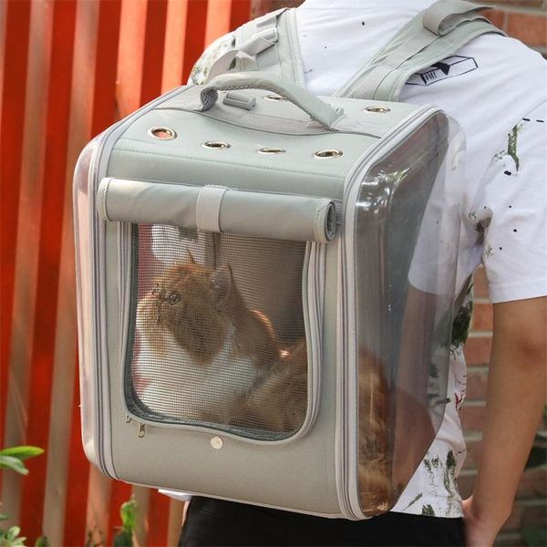 dog car seat covers astronaut backpack large space transport bag outdoor dogs window breathable maleta para gato pet travel ac50cb
dog car seat covers astronaut backpack large space transport bag outdoor dogs window breathable maleta para gato pet travel ac50cb