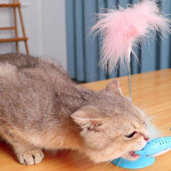 cat toys detachable bell dolphin rotating funny toy exercise flexibility playing chasing for indoor cats durable
cat toys detachable bell dolphin rotating funny toy exercise flexibility playing chasing for indoor cats durable