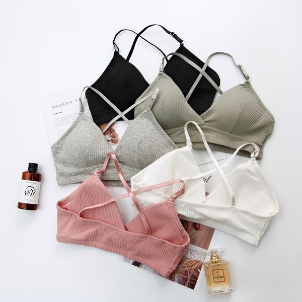 yoga outfit women bra bralette lingerie push up cotton flexible for fashion ins bras lady underwear
yoga outfit women bra bralette lingerie push up cotton flexible for fashion ins bras lady underwear