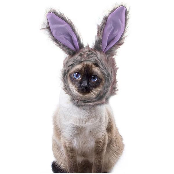 cat costumes cosplay clothes pet small dog cats costume wig cap hat for dogs halloween christmas dress
cat costumes cosplay clothes pet small dog cats costume wig cap hat for dogs halloween christmas dress