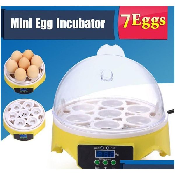 mini 7 egg incubator poultry incubator brooder digital temperature hatchery machine hatcher for chicken jllnby trustbde
mini 7 egg incubator poultry incubator brooder digital temperature hatchery machine hatcher for chicken jllnby trustbde
