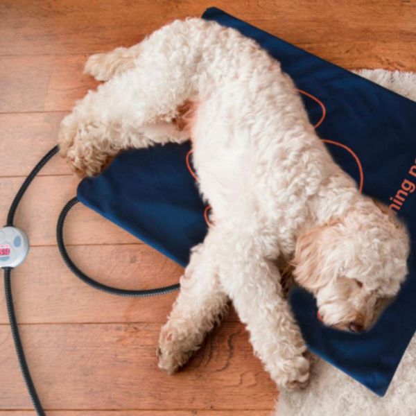 cat beds & furniture dog indoor heat bed mats practical durable 7 gears puppy cushion 60 45cm pet electric heating mat home accessories crea
cat beds & furniture dog indoor heat bed mats practical durable 7 gears puppy cushion 60 45cm pet electric heating mat home accessories crea