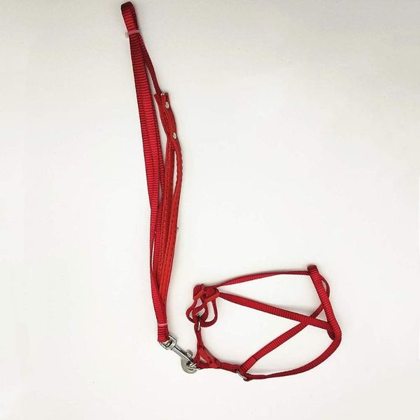 other bird supplies adjustable harness and leash anti-bite outdoor training traction strap for large parrot macaw amazon cockatoo
other bird supplies adjustable harness and leash anti-bite outdoor training traction strap for large parrot macaw amazon cockatoo