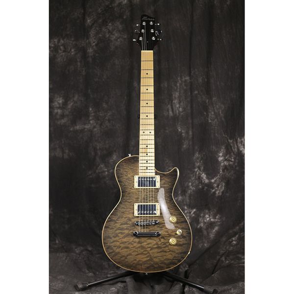 factory direct sales lp style electric guitar quilt maple hlp02 high-quality
factory direct sales lp style electric guitar quilt maple hlp02 high-quality