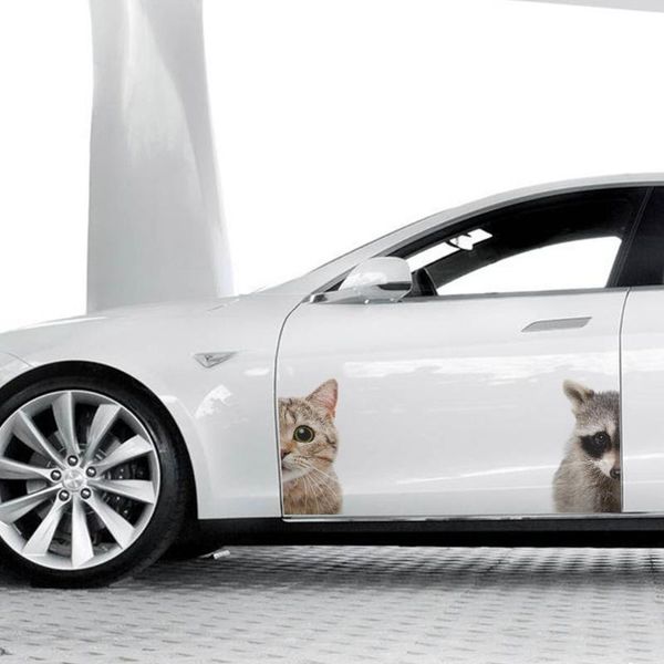 wall stickers funny cat raccoon pattern for kids room home decoration 3d view animals mural art decorative car decals pvc poster
wall stickers funny cat raccoon pattern for kids room home decoration 3d view animals mural art decorative car decals pvc poster