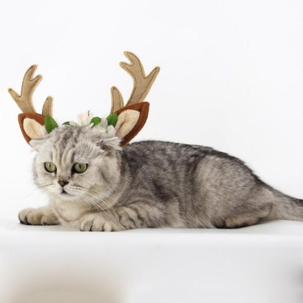 dog apparel cute christmas pet cap hats cat antlers head hoop decoration for small dogs pets decor supplies
dog apparel cute christmas pet cap hats cat antlers head hoop decoration for small dogs pets decor supplies