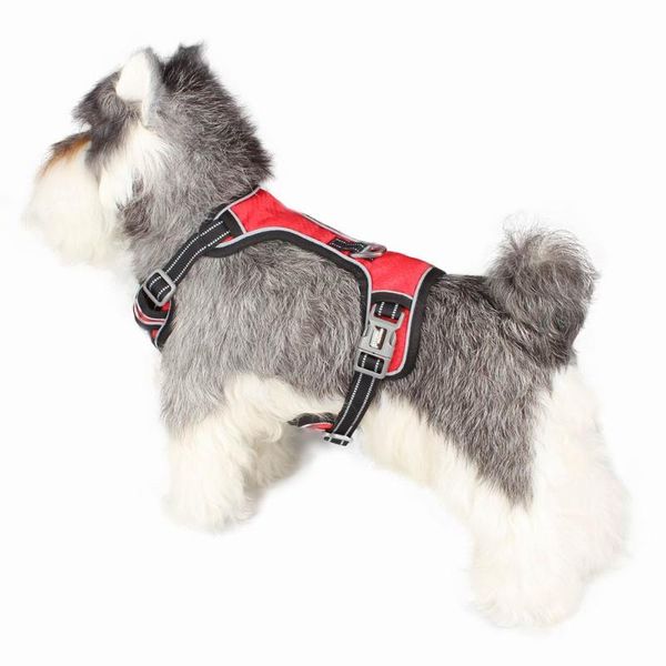 dog collars & leashes chest collar strap traction rope no pull harness pet doggy accessories pectoral for large big small samoyed dogs
dog collars & leashes chest collar strap traction rope no pull harness pet doggy accessories pectoral for large big small samoyed dogs