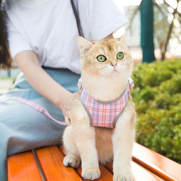 cat collars & leads traction rope, walking rope and chain can be adjusted to prevent cats from breaking vest pet products for
cat collars & leads traction rope, walking rope and chain can be adjusted to prevent cats from breaking vest pet products for