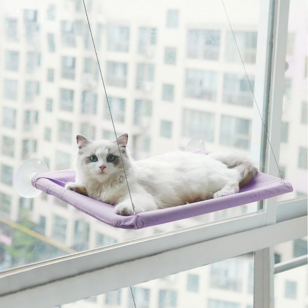 cat beds & furniture cute pet hanging bearing 20kg sunny window seat mount hammock comfortable bed shelf
cat beds & furniture cute pet hanging bearing 20kg sunny window seat mount hammock comfortable bed shelf