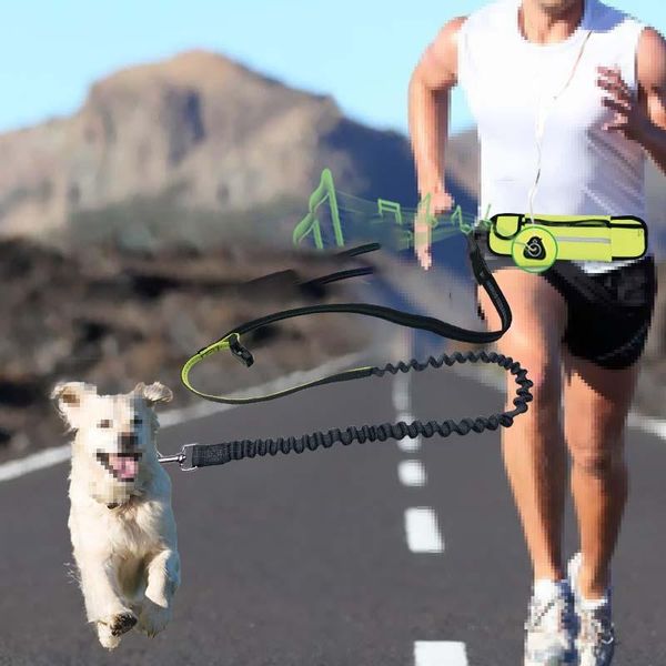 dog collars & leashes pet products waterproof waistpack sports running traction rope multi-functional belt
dog collars & leashes pet products waterproof waistpack sports running traction rope multi-functional belt