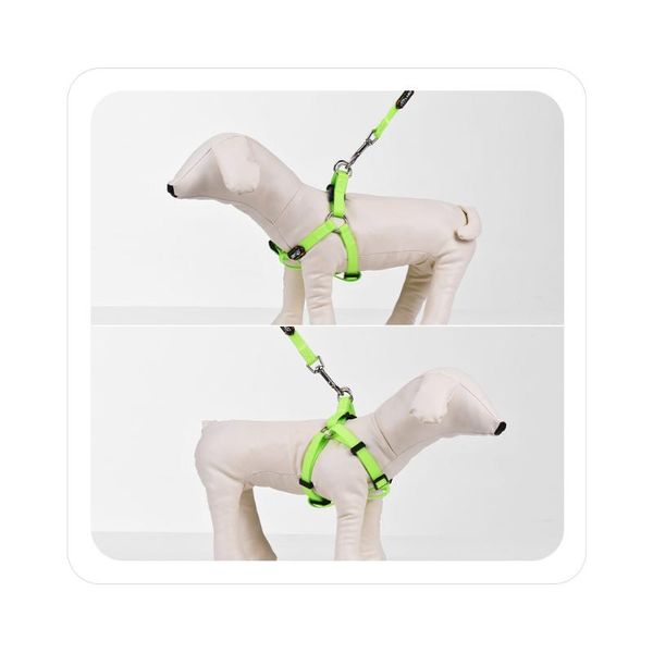 dog collars & leashes 2pcs silicone reflective harness 1.2m walking leash set adjustable vest for daily training s/m/l dogs
dog collars & leashes 2pcs silicone reflective harness 1.2m walking leash set adjustable vest for daily training s/m/l dogs