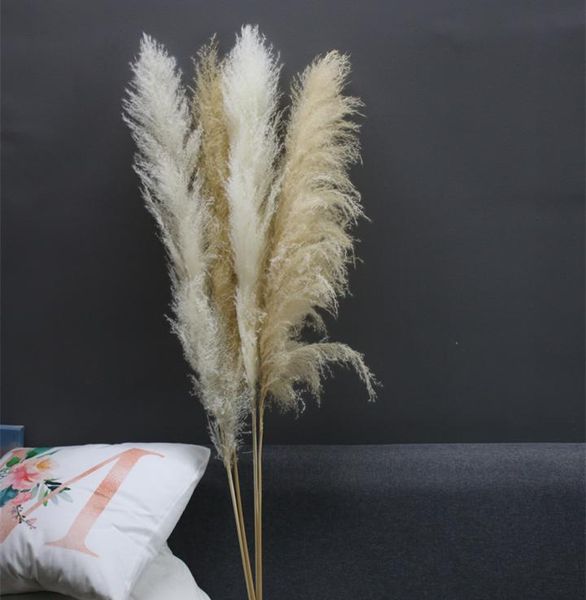 decorative flowers & wreaths 80cm pampas grass extra large natural white dried bouquet fluffy for boho vintage style home wedding decor
decorative flowers & wreaths 80cm pampas grass extra large natural white dried bouquet fluffy for boho vintage style home wedding decor