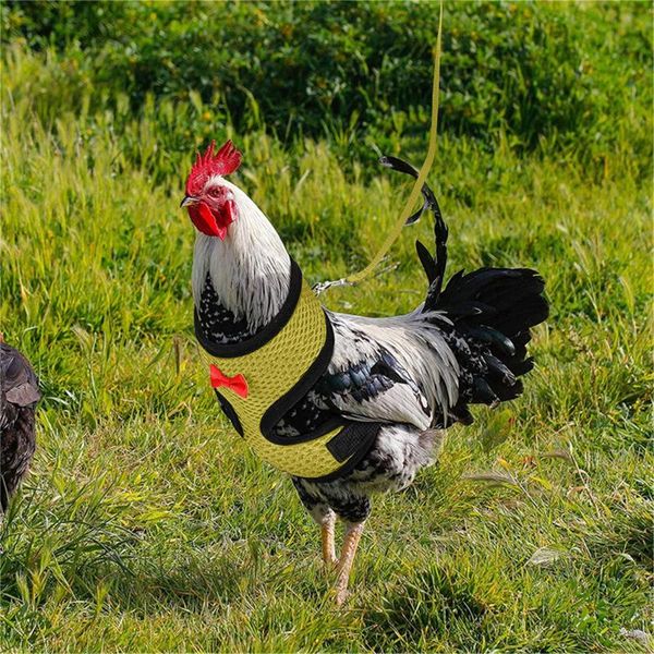 cat collars & leads 3pcs chicken vest pet reflective adjustable rope with leash matching belt poultry hen saddle apron feather protect
cat collars & leads 3pcs chicken vest pet reflective adjustable rope with leash matching belt poultry hen saddle apron feather protect