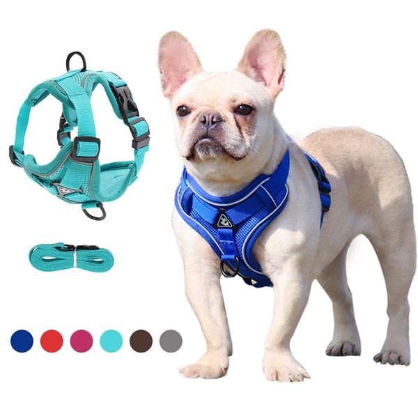 cat collars & leads adjustable dog harness reflective pet safety vehicular lead straps breathable training harnesses accessories
cat collars & leads adjustable dog harness reflective pet safety vehicular lead straps breathable training harnesses accessories
