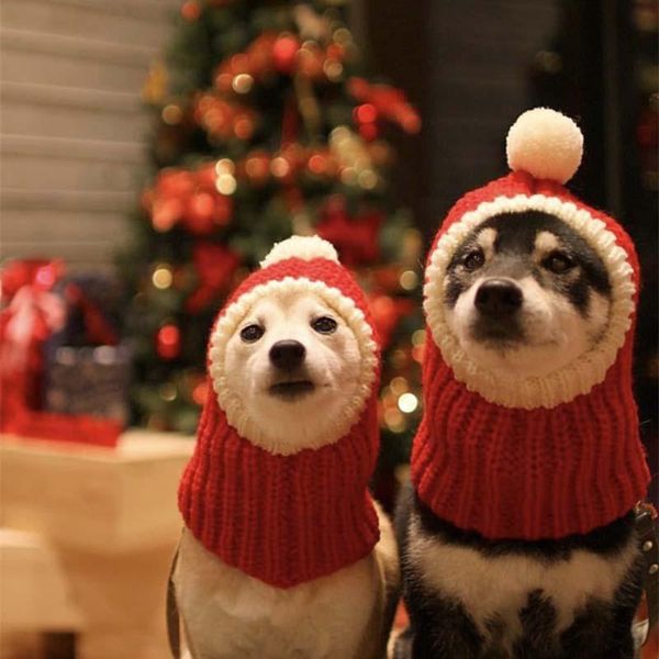 dog apparel pet autumn and winter woolen hat shiba inu method teddy bichon golden retriever christmas british short cat
dog apparel pet autumn and winter woolen hat shiba inu method teddy bichon golden retriever christmas british short cat