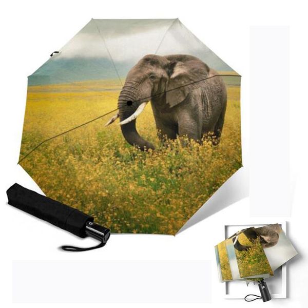 umbrellas windproof auto open close pongee 3 folding elephant printing fashion paraguas sun rain umbrella outdoor parapluie waterproof
umbrellas windproof auto open close pongee 3 folding elephant printing fashion paraguas sun rain umbrella outdoor parapluie waterproof