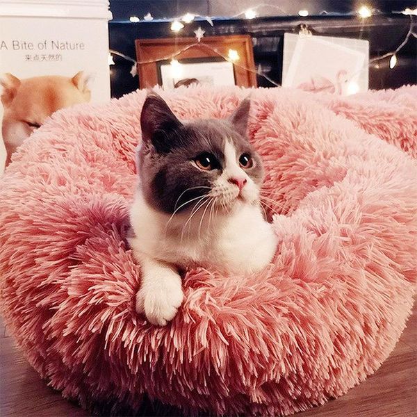 cat beds & furniture super soft pet bed kennel dog round for dogs basket products cushion mat animals sleeping sofa
cat beds & furniture super soft pet bed kennel dog round for dogs basket products cushion mat animals sleeping sofa