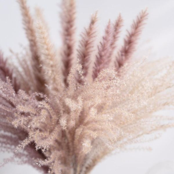 real wheat decoration natural pampas tail grass dried flowers for wedding party diy craft typha lagurus ovatus phragmites
real wheat decoration natural pampas tail grass dried flowers for wedding party diy craft typha lagurus ovatus phragmites