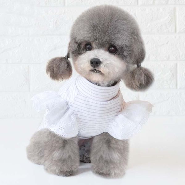 dog apparel clothes spring and summer pet small bottoming puppy four seasons
dog apparel clothes spring and summer pet small bottoming puppy four seasons