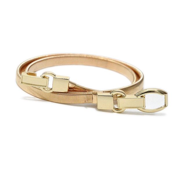 fashionable new metal spring waist chain women's versatile double hook elastic chain belt, Black;brown
fashionable new metal spring waist chain women's versatile double hook elastic chain belt, Black;brown