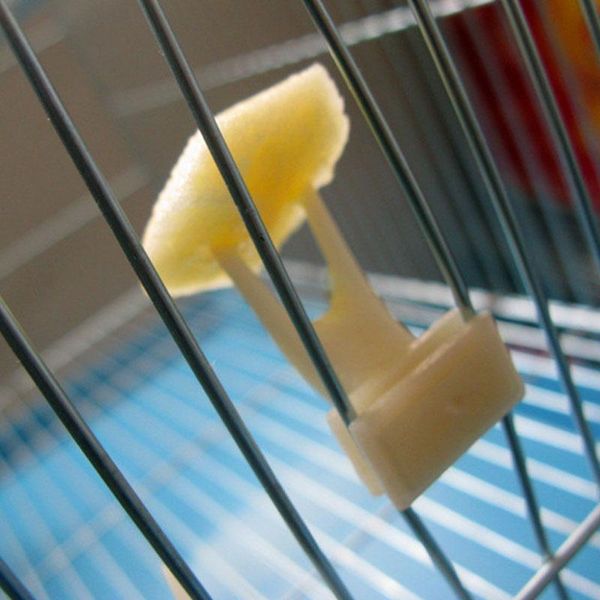 other bird supplies 1pcs birds parrotsplastic fruit fork portable feeder cage accessories food holder on pet
other bird supplies 1pcs birds parrotsplastic fruit fork portable feeder cage accessories food holder on pet