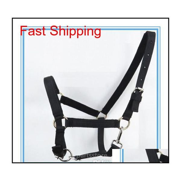 adjustable horse halter bridle pony fixed rein belt durable horse riding accessories eque jllsqw eatout
adjustable horse halter bridle pony fixed rein belt durable horse riding accessories eque jllsqw eatout