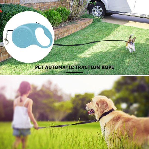 dog collars & leashes 3/5m portable cat leash traction belt handle retractable adjustable rope travel pet outing accessories supplies
dog collars & leashes 3/5m portable cat leash traction belt handle retractable adjustable rope travel pet outing accessories supplies