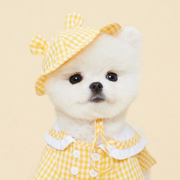 dog apparel plaid doll collar spring and autumn thin pet clothes than xiong vip bomei schnauzer teddy small wear hat
dog apparel plaid doll collar spring and autumn thin pet clothes than xiong vip bomei schnauzer teddy small wear hat