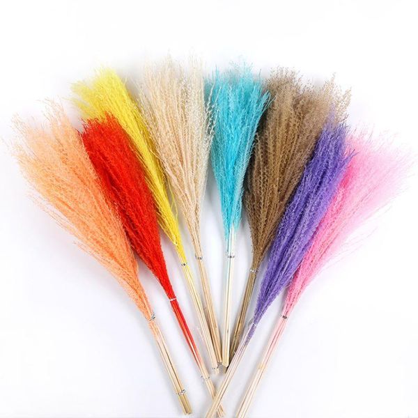 decorative flowers & wreaths 5pcs,30-40cm real pampas grass flower bunch red reed natural dried plant flores preservadas wedding accessories
decorative flowers & wreaths 5pcs,30-40cm real pampas grass flower bunch red reed natural dried plant flores preservadas wedding accessories