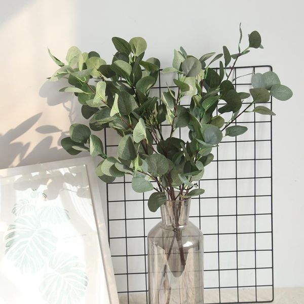imitation flowers eucalyptus leaves money leaf ginkgo leaf manufacturers home decoration plant wall artificial flower
imitation flowers eucalyptus leaves money leaf ginkgo leaf manufacturers home decoration plant wall artificial flower