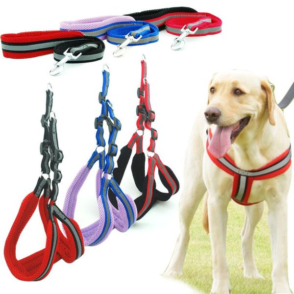 dog collars & leashes harness vest leash reflcetive breathable mesh pet produts adjustbale night walkding collar for medium large dogs
dog collars & leashes harness vest leash reflcetive breathable mesh pet produts adjustbale night walkding collar for medium large dogs