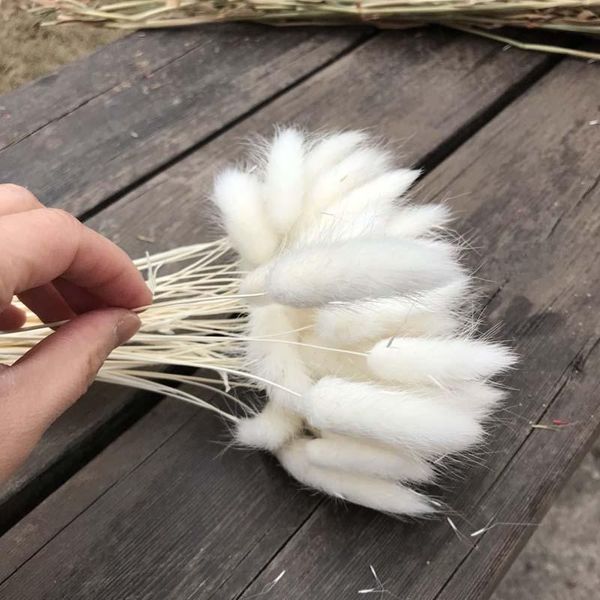 decorative flowers & wreaths length 30-45cm/50pcs dry hare's tail grass flower,dried natural rabbittail bouquet,diy craft for home deco
decorative flowers & wreaths length 30-45cm/50pcs dry hare's tail grass flower,dried natural rabbittail bouquet,diy craft for home deco