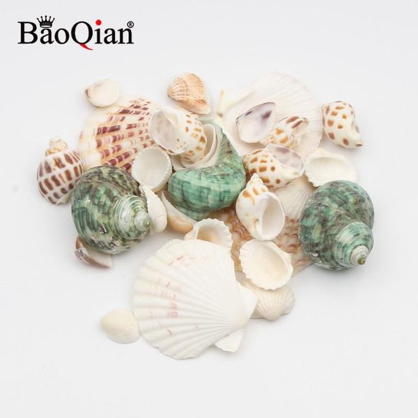 novelty items various natural sea shells conch coquillage beach decor craft diy home decoration marine style fish tank embellishment
novelty items various natural sea shells conch coquillage beach decor craft diy home decoration marine style fish tank embellishment