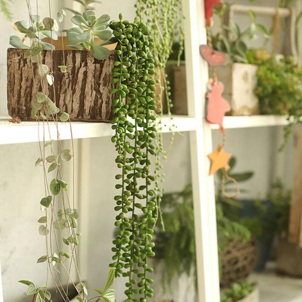 decorative flowers & wreaths gift artificial plants pack 2pcs hanging string of pearls home
decorative flowers & wreaths gift artificial plants pack 2pcs hanging string of pearls home