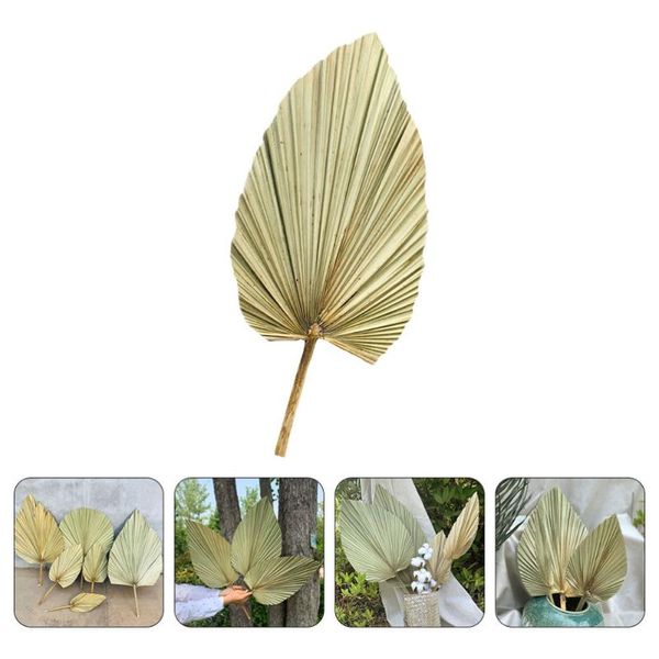 decorative flowers & wreaths 1pc natural dried cattail leaf big flower palm decor (olive green)
decorative flowers & wreaths 1pc natural dried cattail leaf big flower palm decor (olive green)