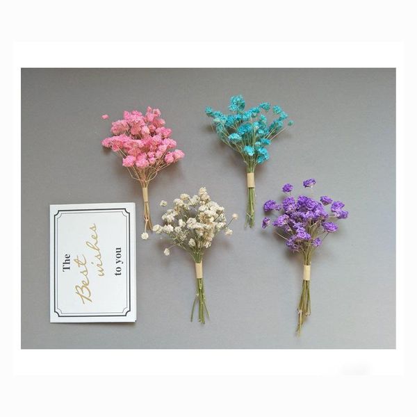 decorative flowers & wreaths mini dried diy babysbreath bouquet natural plants preserve floral for wedding home gift decoration
decorative flowers & wreaths mini dried diy babysbreath bouquet natural plants preserve floral for wedding home gift decoration