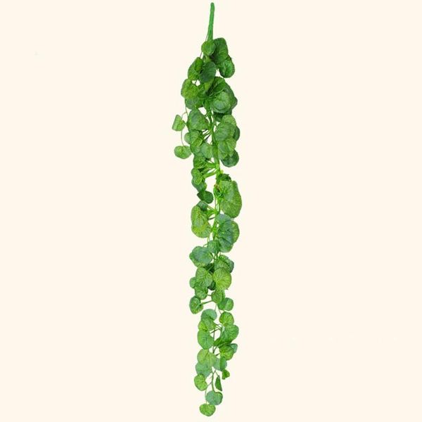 decorative flowers & wreaths simulation fake flower rattan succulent vines home bar shooting wall hanging plant
decorative flowers & wreaths simulation fake flower rattan succulent vines home bar shooting wall hanging plant