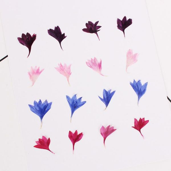 decorative flowers & wreaths 40pcs,nature pressed flower,real touch cornflower petals,diy wedding invitations craft bookmark gift card,flore
decorative flowers & wreaths 40pcs,nature pressed flower,real touch cornflower petals,diy wedding invitations craft bookmark gift card,flore